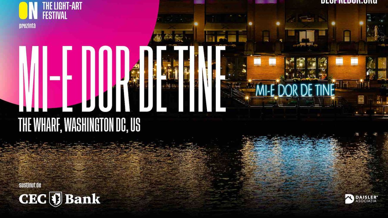 Instalația care trăiește “the american dream”. Povestea “MI-E DOR DE TINE” e spusă a doua oară peste ocean (PARTENERIAT)