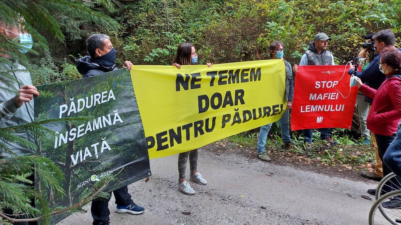 Protest al activiştilor de mediu la Suceava, unde un activist şi doi jurnalişti au fost bătuţi. Protestatarii cer autorităţilor „maximă seriozitate” în investigarea cazului