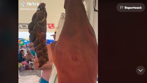 VIDEO Un turist și-a adus pe plajă la Costinești câteva hălci de carne afumată și le-a atârnat de umbrelă