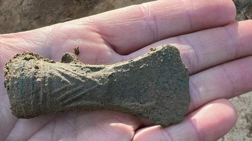 Topoare vechi de 3.000 de ani, descoperite într-o pădure de lângă Ocna Mureș, cu ajutorul detectoarelor de metale