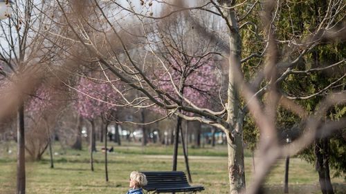 METEO: Vreme oscilantă în următoarele două săptămâni. Luna mai debutează cu soare, dar din 7 mai va ploua în toată țara / Temperaturi maxime de până la 22 de grade și minime de 3 grade / Prognoza pe regiuni