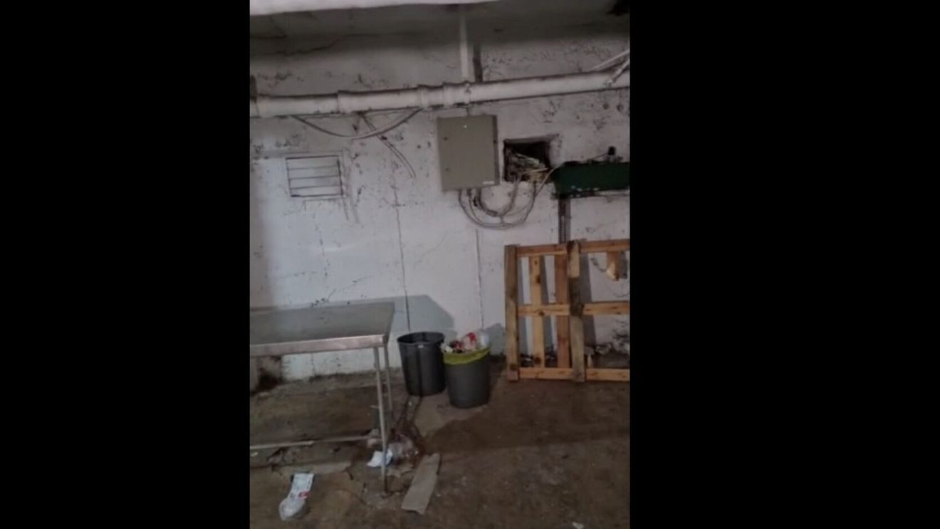VIDEO  Emanuel Ungureanu: La Botoșani, sub patronajul Consiliului Județean, colcăie în spital mizeria, corupția și nesimțirea