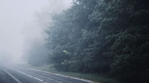 Cod galben de ceaţă densă în localităţi din judeţele Sălaj, Cluj şi Bistriţa-Năsăud, duminică dimineaţa