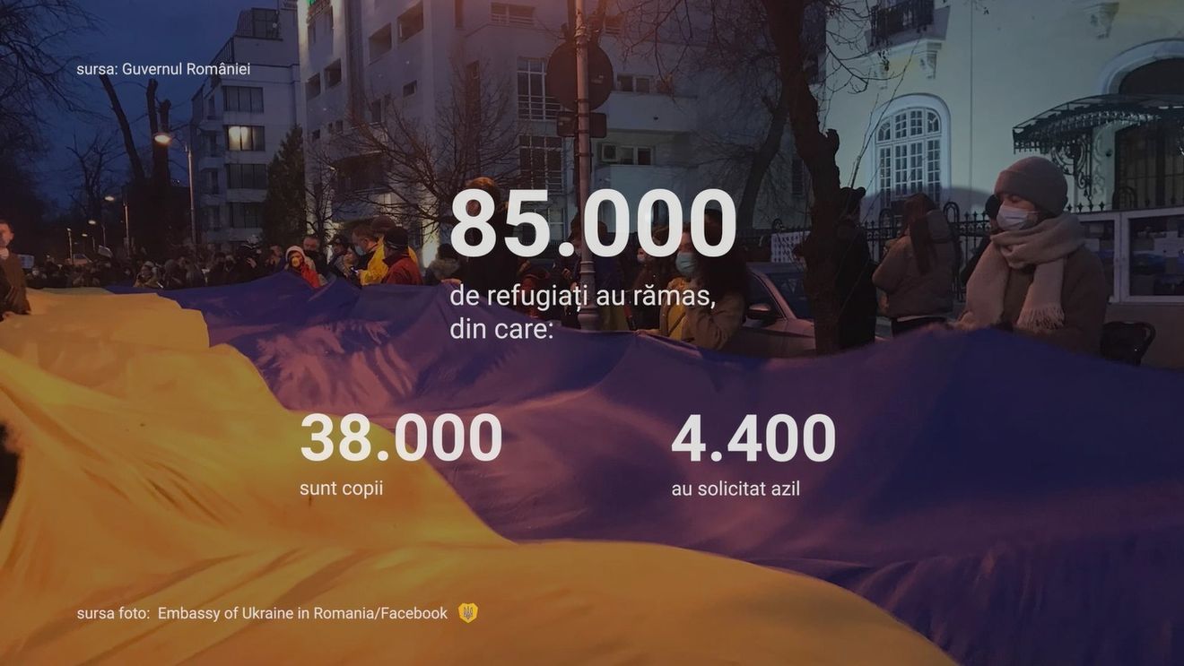 VIDEOGRAFIC Ce spun cifrele despre situația refugiaților din Ucraina, după 8 luni de război