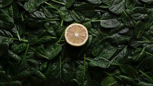 5 alimente care sunt pline de electroliți, potrivit dieteticienilor / Ce sunt electroliții? / Mineralele nu se găsesc doar în băuturile pentru sportivi