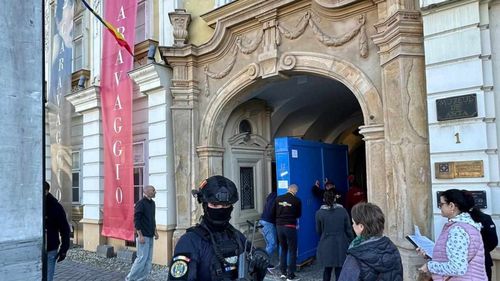 Directorul Muzeul de Artă din Timișoara cere ca instituția să fie păzită de jandarmi: ”Ar fi un lucru benefic”