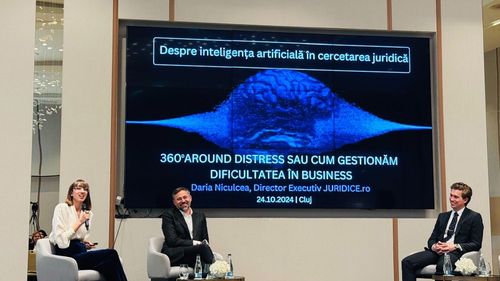 Dificultăți în afaceri, tactici și instrumente. Specialiștii explică cum poți trece de la „insolvență iminentă” la măsuri pentru salvarea companiilor