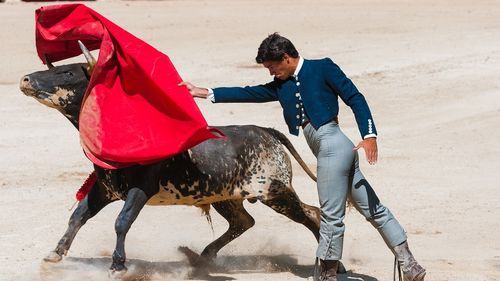Proteste la reluarea coridelor în Ciudad de Mexico, după o pauză de doi ani