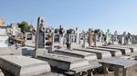 Un consilier USR din Sibiu propune transformarea Cimitirului Municipal într-un parc prin plantarea de copaci