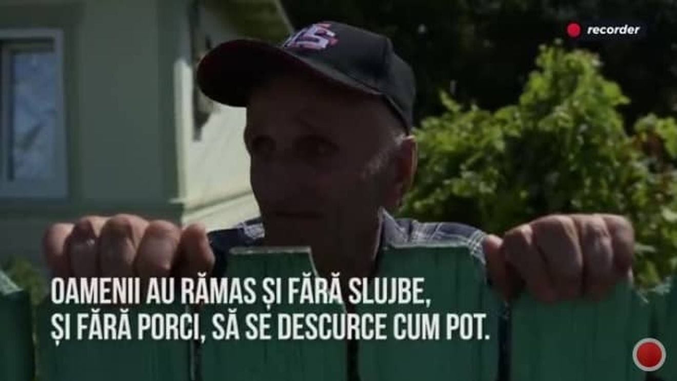 Reportaj Recorder.ro: Pesta porcină și deznădejdea țăranului român