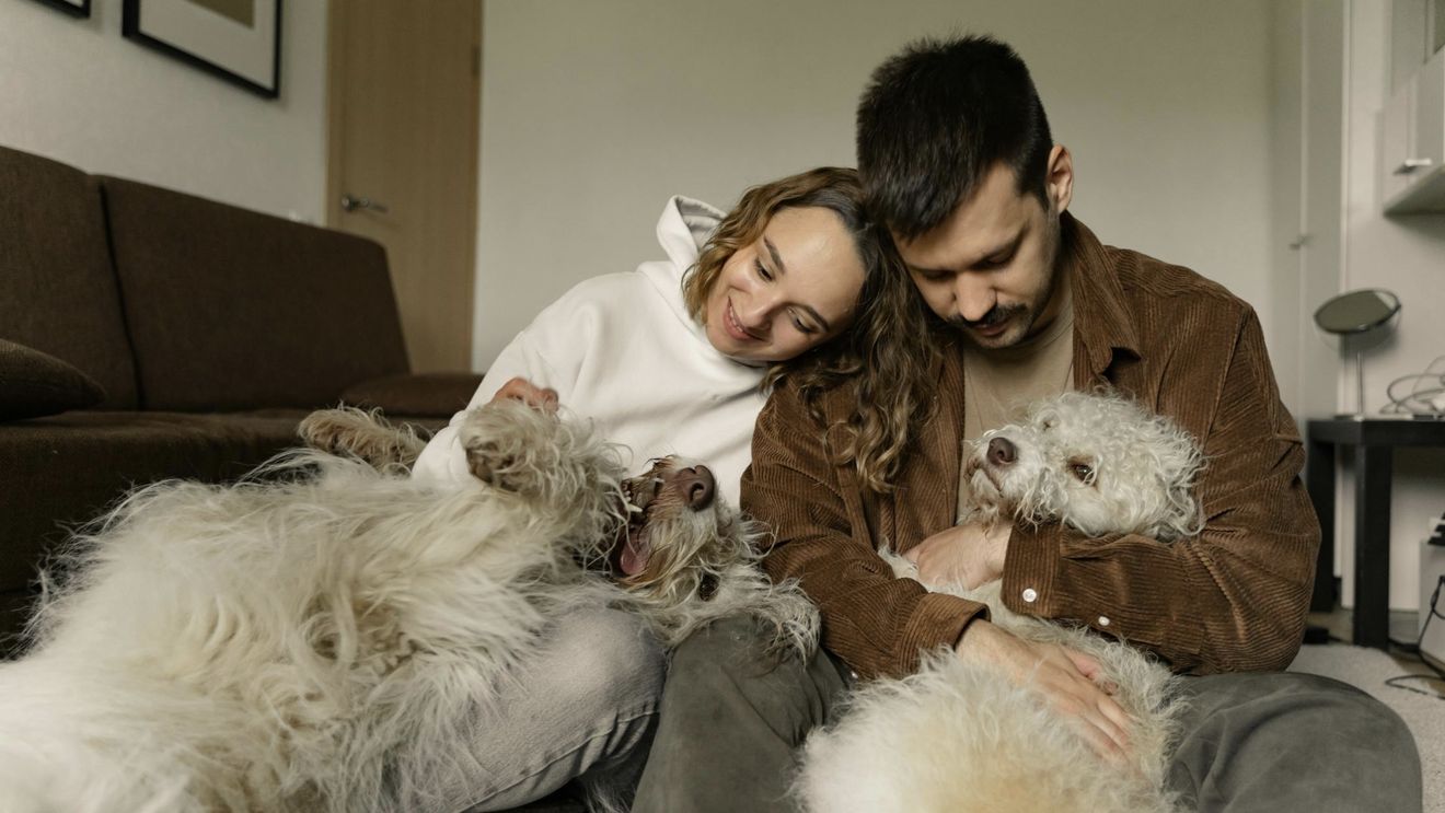 Unul din trei proprietari de animale de companie crede că Mercur retrograd influențează modul în care se comportă animalele lor de companie / Cum poate fi depășit acest moment