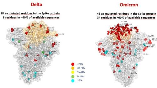 Prima ”imagine” a Omicron arată mult mai multe mutații decât la varianta Delta