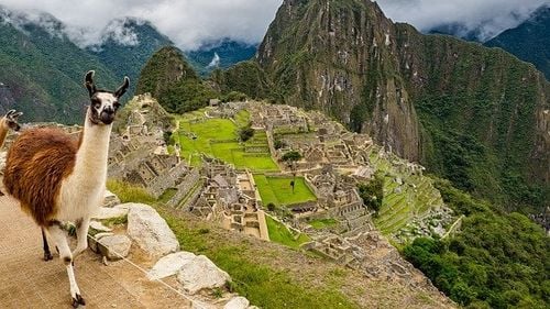 Legătura feroviară spre Machu Picchu a fost redeschisă după încheierea protestelor din Peru
