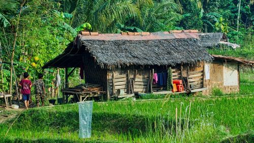 Indonezia: autoritățile dintr-o zonă rurală le dau găini bonus bătrânilor care se vaccinează anti-Covid