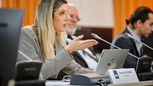 Senatul a respins moţiunea simplă formulată împotriva ministrei Mediului, Diana Buzoianu