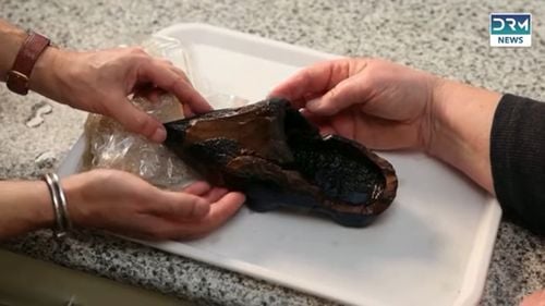 VIDEO Un sabot de lemn de mesteacăn vechi de 500 de ani, descoperit în Alkmaar / Are mărimea 36