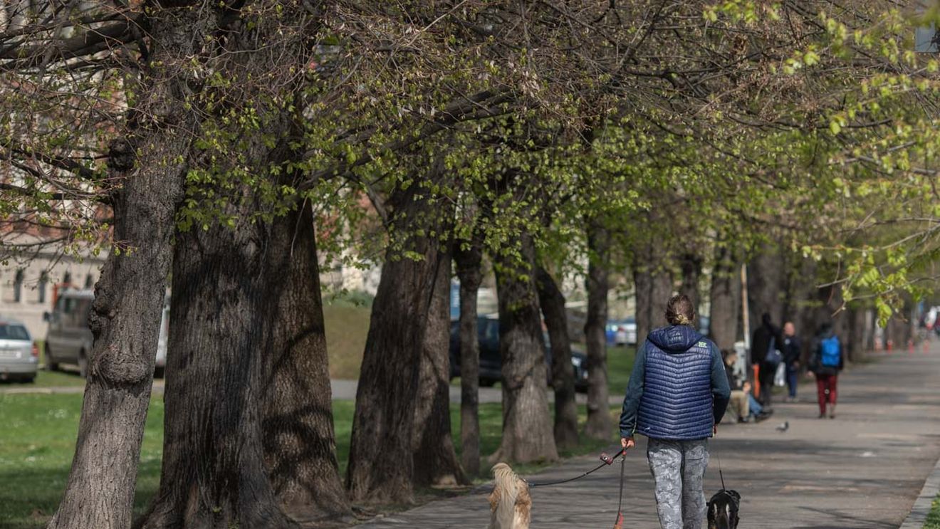 METEO Temperaturi de primăvară călduroasă în București, duminică