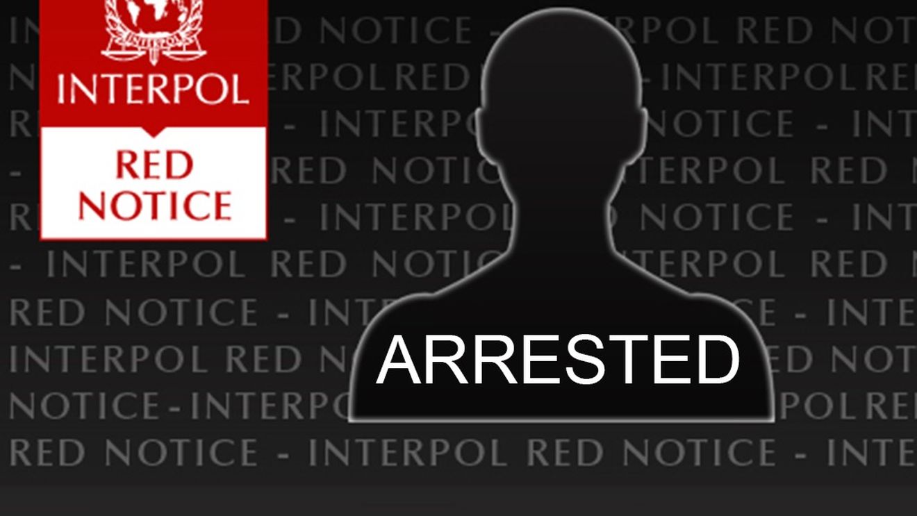 Interpol a arestat 20 de persoane suspectate de pornografie infantilă în 12 ţări