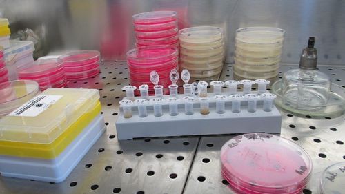 Toți pacienții care ajung la Spitalul Județean Slatina sunt testați pentru COVID-19/ În funcție de simptome, sunt testați și pentru gripă
