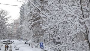 Un alpinist utilitar din Suceava se oferă voluntar pentru toaletarea arborilor afectați de zăpadă / Jumătate din județ a fost blocat aproape în totalitate de ninsorile abundente