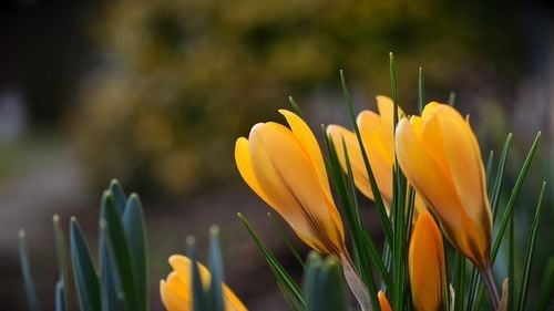 METEO: Vreme caldă în București, săptămână viitoare, cu șanse foarte mici de precipitații