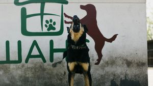Esofagita provoacă dureri mari câinelui: acestea sunt simptomele