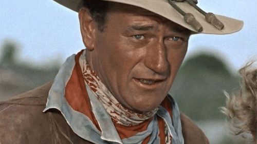 Mai mulți politicieni cer ca Aeroportul „John Wayne” din comitatul Orange, California, să își schimbe numele, dat fiind că actorul ar fi avut comportament rasist și homofob