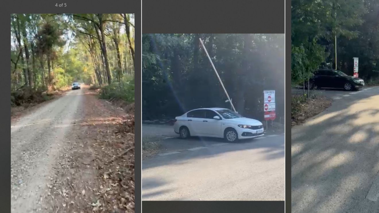 Federația Greenfield a deschis traficul auto prin Pădurea Băneasa, printr-un gest unilateral, „în calitate de beneficiar al contractului cu Romsilva” / Filmări cu mașini - martori / Surse: Romsilva cedează în folosință trei drumuri, nu doar unul singur