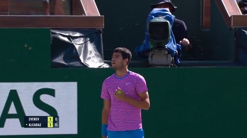VIDEO Meciul Alcaraz – Zverev de la Indian Wells, întrerupt din cauza unui roi de albine / Înţepat, spaniolul a obţinut calificarea în semifinale
