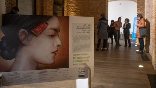 Statutul lucrătorului cultural profesionist a fost adoptat de Guvern prin ordonanță de urgență / Propunerea legislativă, jalon în cadrul PNRR