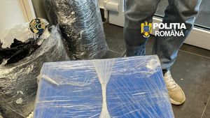 11 kilograme de droguri aduse din Spania prin curier, confiscate de DIICOT Constanța. Cocaină și canabis de 220.000 de euro, destinate pieței din România