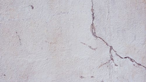 Gorj: 121 de clădiri, avariate în urma cutremurelor, conform bilanţului autorităţilor. Printre acestea se numără 27 de şcoli, 17 instituţii publice, 24 de blocuri de locuințe