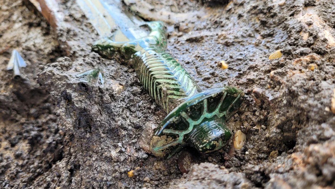 FOTO „Descoperire foarte rară”: Arheologii au găsit în Bavaria o sabie veche de 3.000 de ani atât de bine conservată încât încă strălucește