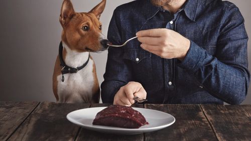 Studiu surprinzător: Stăpâniii de câini ar sări peste propriile mese pentru a-și hrăni animalele