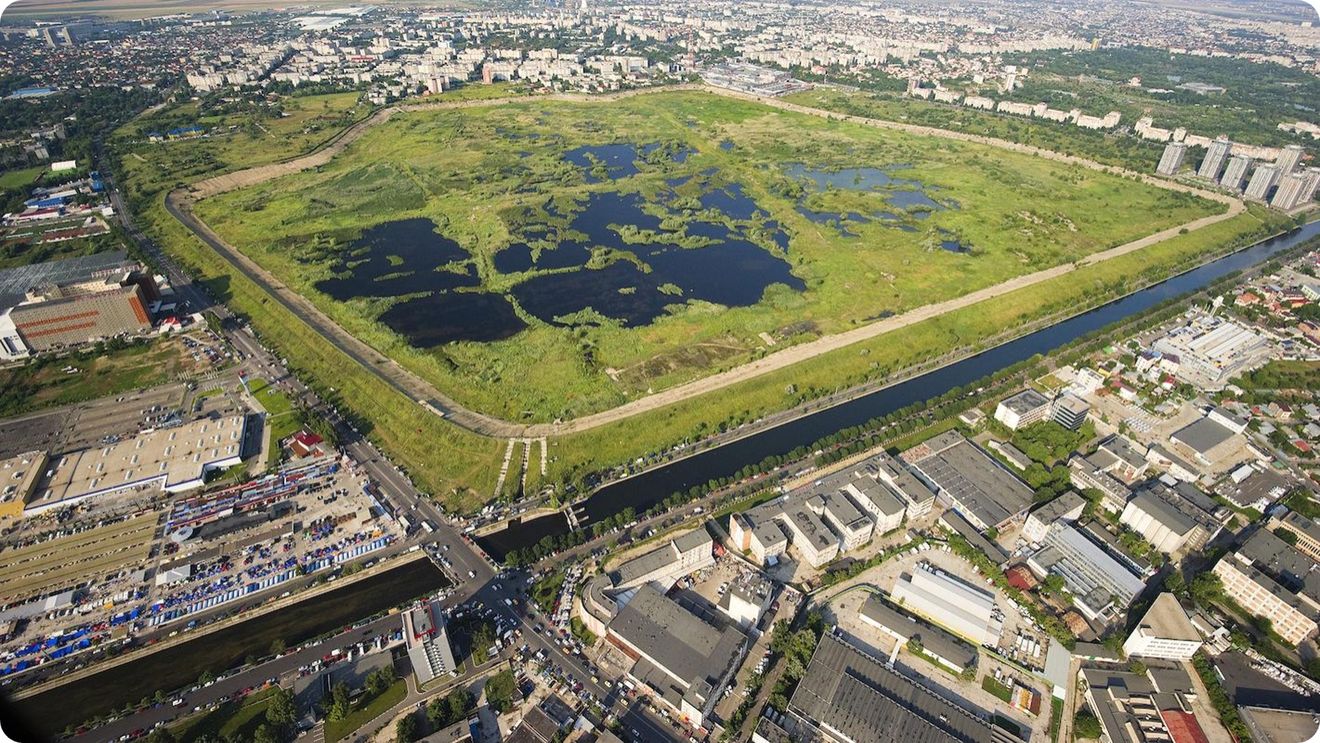 FOTO | Cum ar putea deveni Parcul Natural Văcărești un „burete” pentru București. Asociația Parcul Natural București pregătește un proiect-pilot care transformă apa de ploaie în resursă: „Bucureștiul trebuie să aibă zone permeabile și grădini de ploaie”