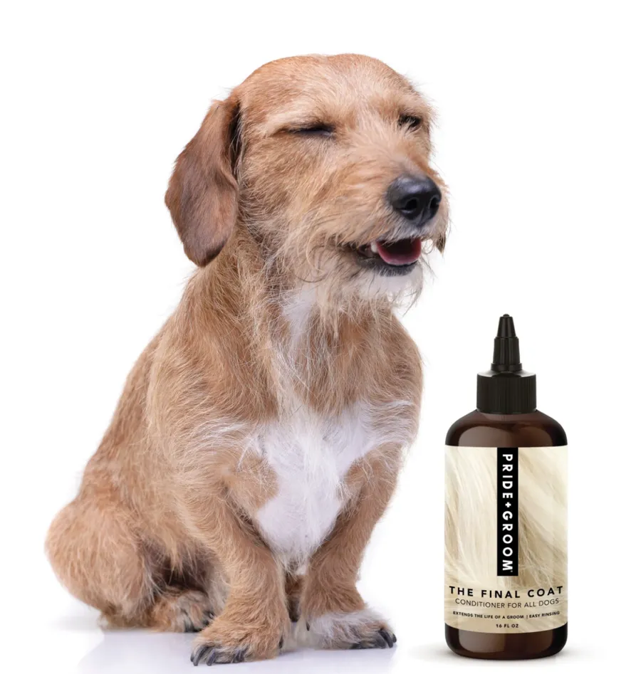 moda, beauty, moda de caini, animale de companie, beauty de animale de comapanie, pride and groom balsam pentru caini 