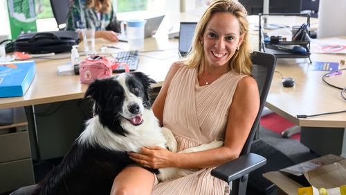 Terapie fără programare, în timpul orelor de lucru – birourile pet-friendly sunt cu adevărat motivante