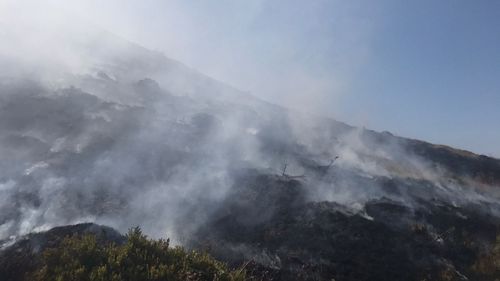 Incendiu de vegetație pe Muntele Găina