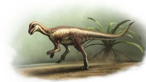 STUDIU O nouă specie de dinozaur, de mărimea unui Labrador, descoperită în Colorado / Creatura cutreiera actualul teritoriu al SUA în urmă cu 150 de milioane de ani