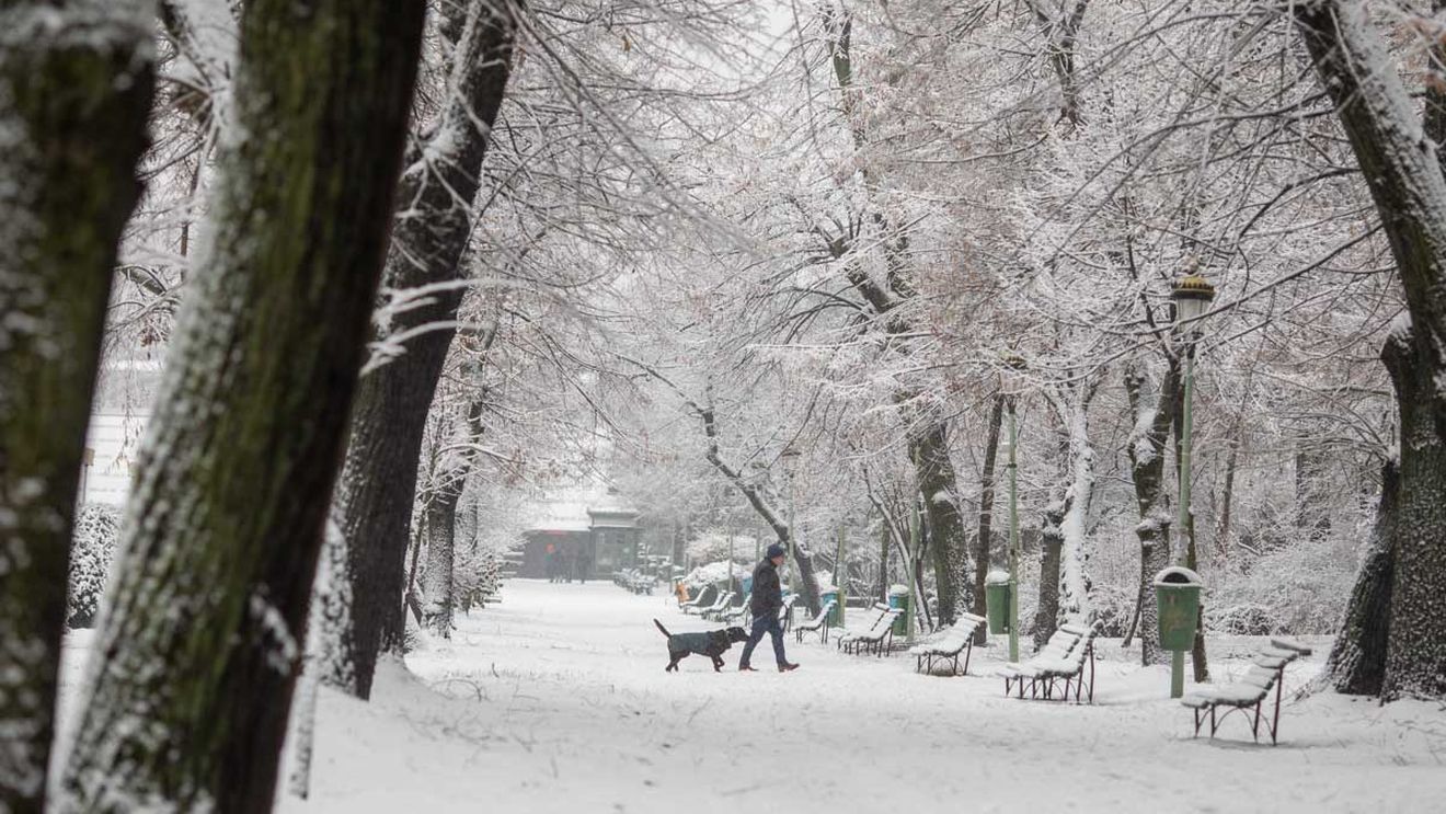 METEO: Ger şi temperaturi negative în această săptămână, în întreaga ţară / De sâmbătă, vremea se încălzeşte