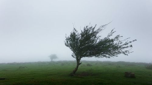 Cod galben de vânt puternic în zonele de munte din Braşov, Argeş, Prahova şi Dâmboviţa