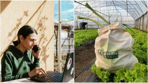 Fermieri cu valoare adăugată: Ferma Legume Verzi produce, pe lângă legume proaspete, sos de roșii sau zacuscă sub brandul SELO / Vânzarea de produse procesate, o „gură de aer” în sezonul rece pentru un fermier