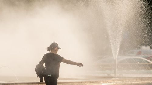 Ce parte din creier ne reglează temperatura corpului și ce ar trebui să mâncăm pe caniculă, ca să ne fie bine