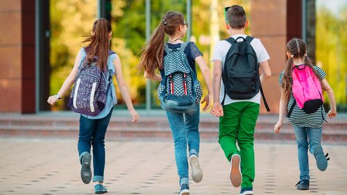 Ministerul Educaţiei: Cursurile şcolare se desfăşoară normal în 98,2% dintre cele circa 5.700 de unităţi de învăţământ de stat cu personalitate juridică/ Activitatea, afectată total în cinci şcoli din judeţul Dolj