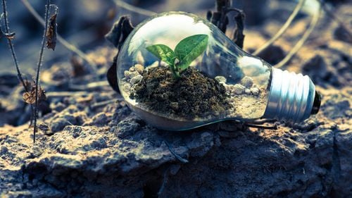 Traian Băsescu: O să vedem stele verzi cu Green Deal-ul. În loc să plantăm grâu, o să plantăm baterii solare în toată câmpia din sudul țării. O stupiditate