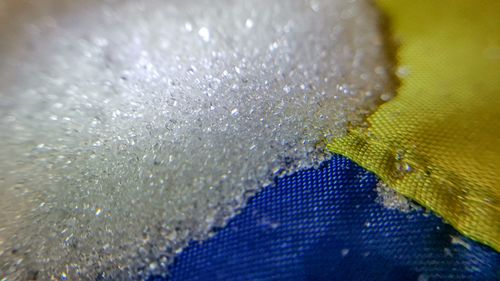 Asociaţia producătorilor ucraineni de zahăr cere suspendarea livrărilor către UE / Cota stabilită de Comisia Europeană a fost atinsă