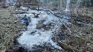 FOTO VIDEO Trei drone ar fi căzut la Plauru, pe malul românesc al Dunării, în urma exploziilor de noaptea trecută, susțin localnicii