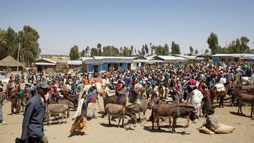 Agenţia sanitară a Uniunii Africane a declarat "urgenţă de sănătate publică" în contextul epidemiei de variola maimuței