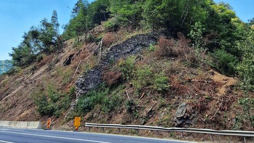 Defrișările de pe Valea Oltului au scos la iveală resturile zidului Turnului Spart de la Boița /  Vechiul zid al vamei dintre Transilvania și Valahia poate fi văzut de trecători /„Deși pare la îndemână de vizitat, înainte era destul de greu”