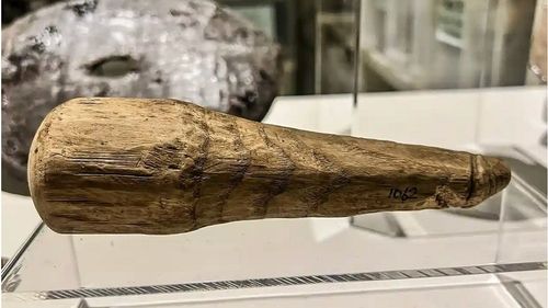 STUDIU Un obiect falic vechi de 2.000 de ani ar putea fi prima jucărie sexuală romană cunoscută / Dildo sau pistil de măcinat alimente?